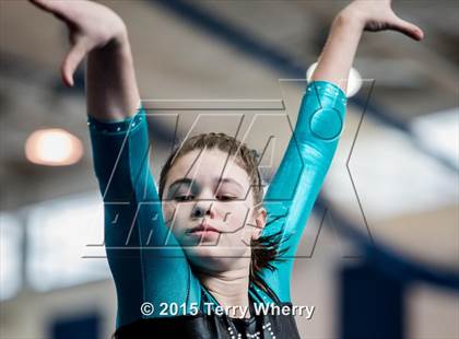 Thumbnail 2 in NYSPHSAA Championships 2015 photogallery.