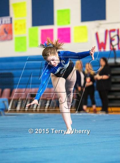 Thumbnail 2 in NYSPHSAA Championships 2015 photogallery.