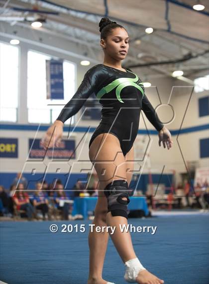 Thumbnail 1 in NYSPHSAA Championships 2015 photogallery.