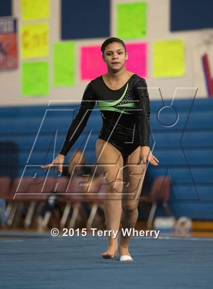 Thumbnail 3 in NYSPHSAA Championships 2015 photogallery.