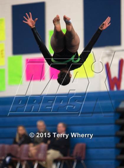 Thumbnail 2 in NYSPHSAA Championships 2015 photogallery.