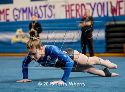 Thumbnail 3 in NYSPHSAA Championships 2015 photogallery.