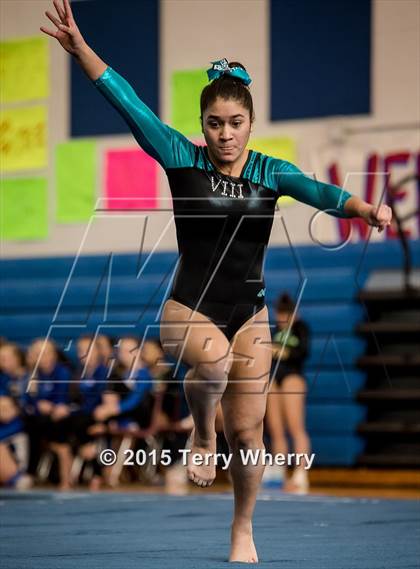 Thumbnail 2 in NYSPHSAA Championships 2015 photogallery.
