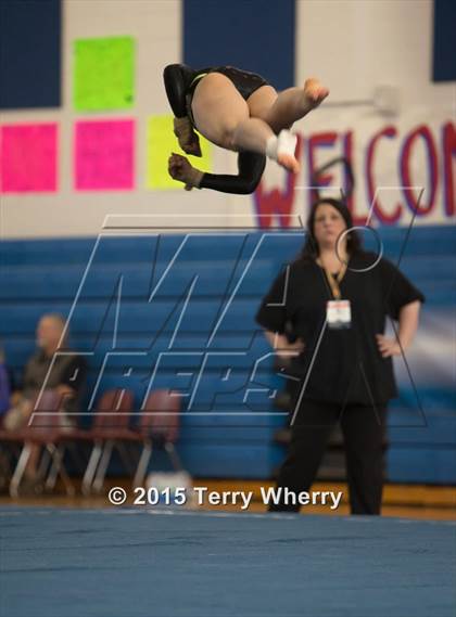 Thumbnail 2 in NYSPHSAA Championships 2015 photogallery.