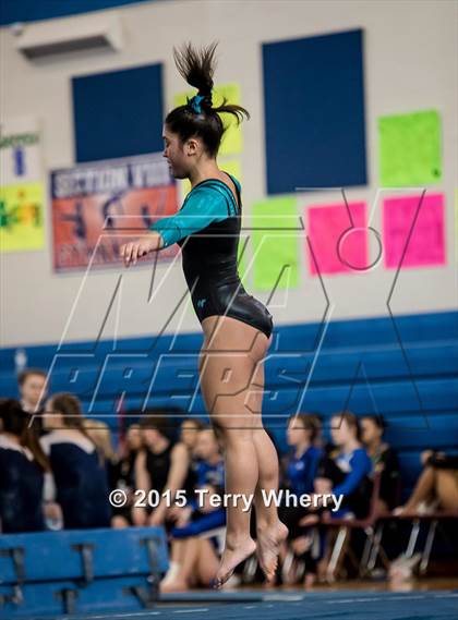 Thumbnail 2 in NYSPHSAA Championships 2015 photogallery.