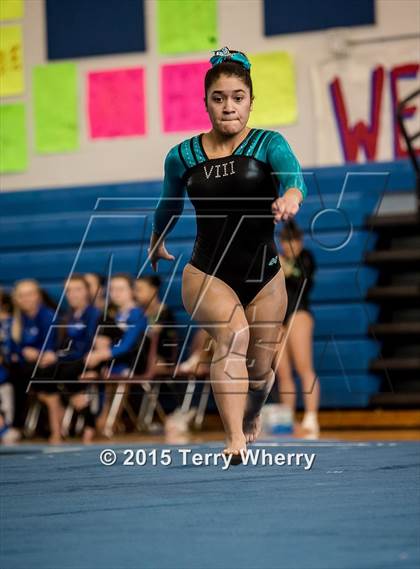 Thumbnail 1 in NYSPHSAA Championships 2015 photogallery.