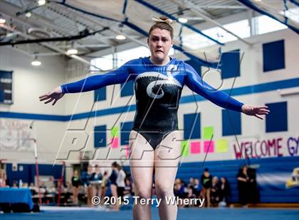Thumbnail 1 in NYSPHSAA Championships 2015 photogallery.