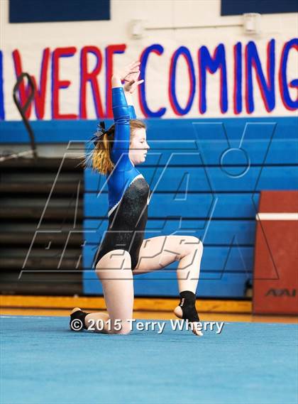 Thumbnail 2 in NYSPHSAA Championships 2015 photogallery.