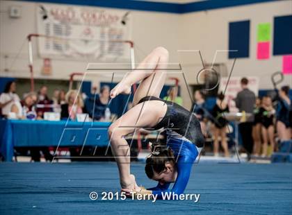 Thumbnail 1 in NYSPHSAA Championships 2015 photogallery.