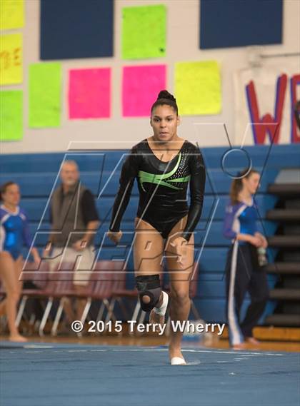 Thumbnail 2 in NYSPHSAA Championships 2015 photogallery.