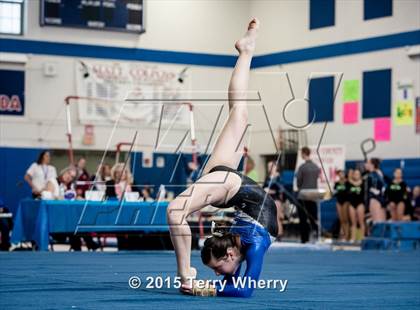 Thumbnail 2 in NYSPHSAA Championships 2015 photogallery.