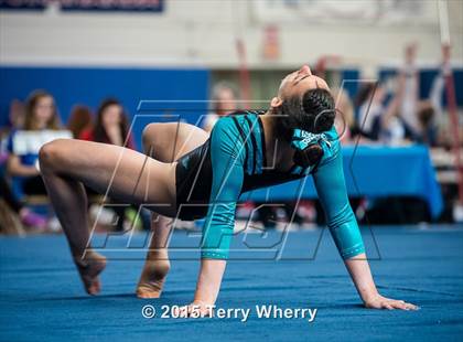 Thumbnail 2 in NYSPHSAA Championships 2015 photogallery.