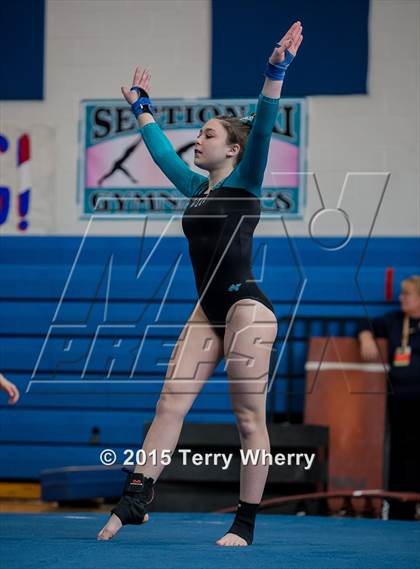 Thumbnail 2 in NYSPHSAA Championships 2015 photogallery.
