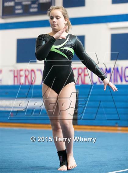 Thumbnail 2 in NYSPHSAA Championships 2015 photogallery.