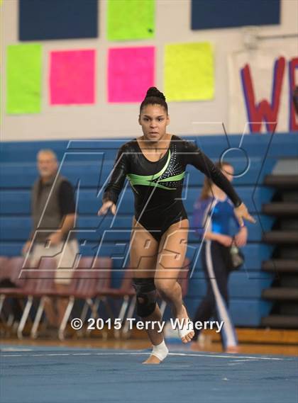 Thumbnail 1 in NYSPHSAA Championships 2015 photogallery.