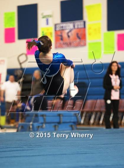 Thumbnail 1 in NYSPHSAA Championships 2015 photogallery.