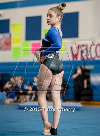 Thumbnail 2 in NYSPHSAA Championships 2015 photogallery.