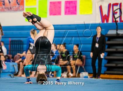 Thumbnail 3 in NYSPHSAA Championships 2015 photogallery.