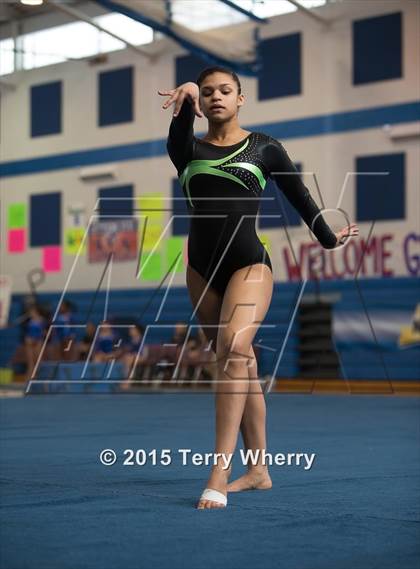 Thumbnail 1 in NYSPHSAA Championships 2015 photogallery.