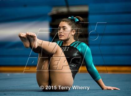 Thumbnail 3 in NYSPHSAA Championships 2015 photogallery.