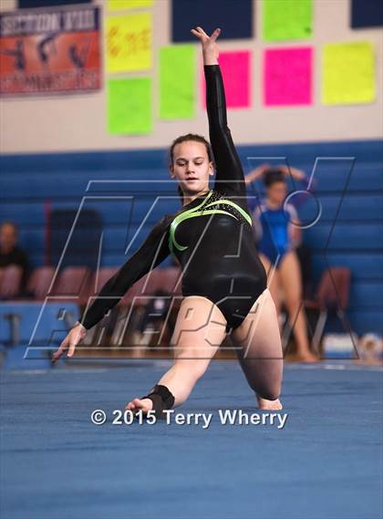 Thumbnail 3 in NYSPHSAA Championships 2015 photogallery.