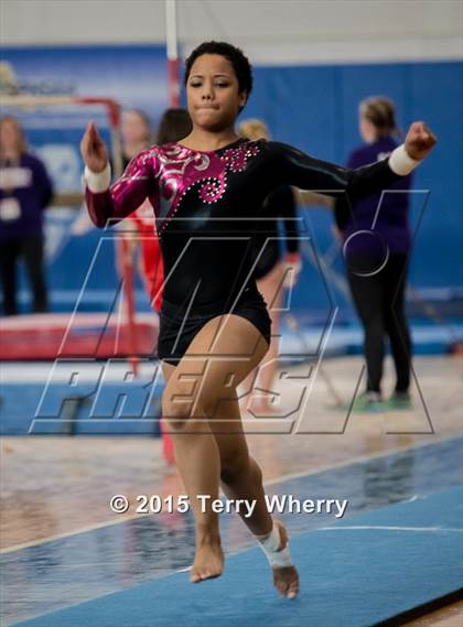 Thumbnail 1 in NYSPHSAA Championships 2015 photogallery.