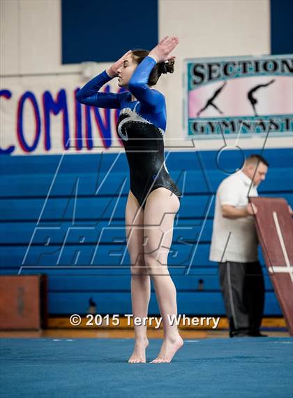 Thumbnail 3 in NYSPHSAA Championships 2015 photogallery.
