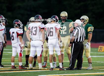 Thumbnail 2 in Port Jervis @ Roosevelt photogallery.