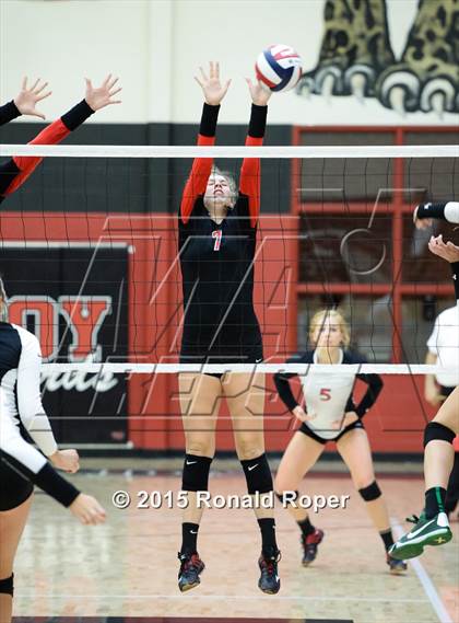 Thumbnail 1 in Carroll @ Lovejoy photogallery.