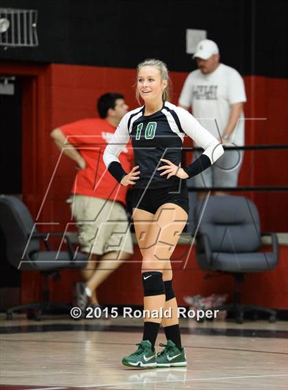 Thumbnail 1 in Carroll @ Lovejoy photogallery.