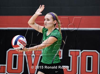 Thumbnail 1 in Carroll @ Lovejoy photogallery.