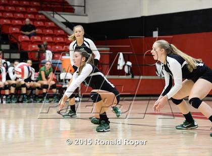 Thumbnail 3 in Carroll @ Lovejoy photogallery.