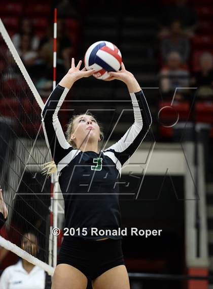 Thumbnail 2 in Carroll @ Lovejoy photogallery.