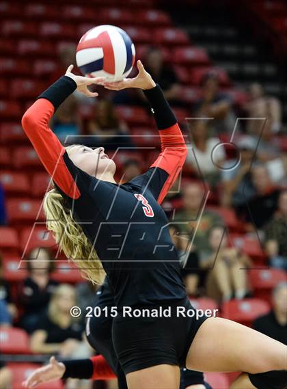 Thumbnail 3 in Carroll @ Lovejoy photogallery.