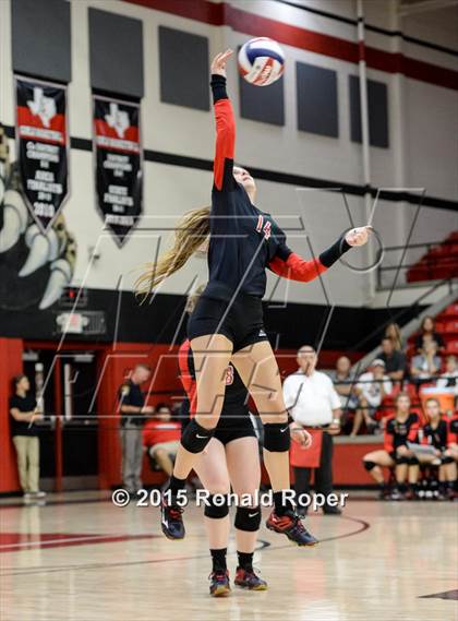 Thumbnail 1 in Carroll @ Lovejoy photogallery.