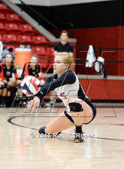 Thumbnail 3 in Carroll @ Lovejoy photogallery.