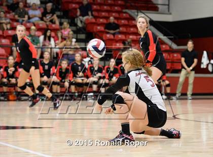 Thumbnail 1 in Carroll @ Lovejoy photogallery.