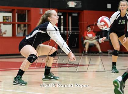 Thumbnail 1 in Carroll @ Lovejoy photogallery.