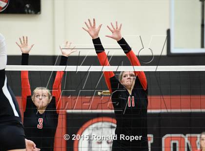 Thumbnail 3 in Carroll @ Lovejoy photogallery.