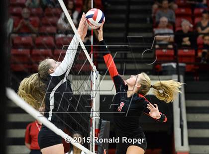 Thumbnail 2 in Carroll @ Lovejoy photogallery.