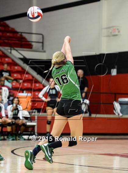 Thumbnail 1 in Carroll @ Lovejoy photogallery.