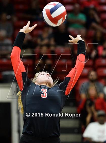 Thumbnail 3 in Carroll @ Lovejoy photogallery.