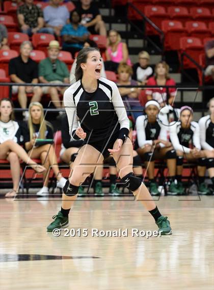Thumbnail 3 in Carroll @ Lovejoy photogallery.