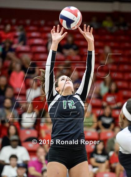 Thumbnail 2 in Carroll @ Lovejoy photogallery.