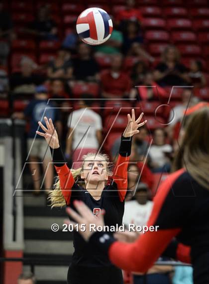 Thumbnail 2 in Carroll @ Lovejoy photogallery.