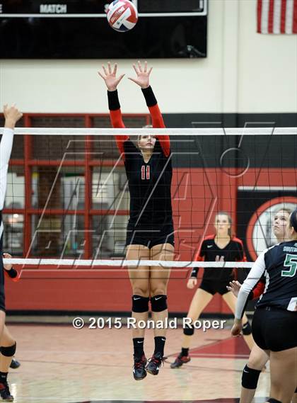 Thumbnail 2 in Carroll @ Lovejoy photogallery.
