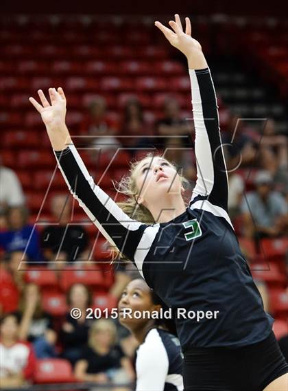 Thumbnail 2 in Carroll @ Lovejoy photogallery.