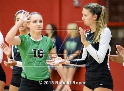 Thumbnail 1 in Carroll @ Lovejoy photogallery.