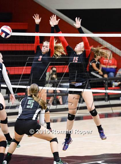 Thumbnail 3 in Carroll @ Lovejoy photogallery.