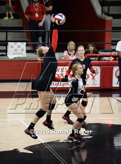 Thumbnail 2 in Carroll @ Lovejoy photogallery.
